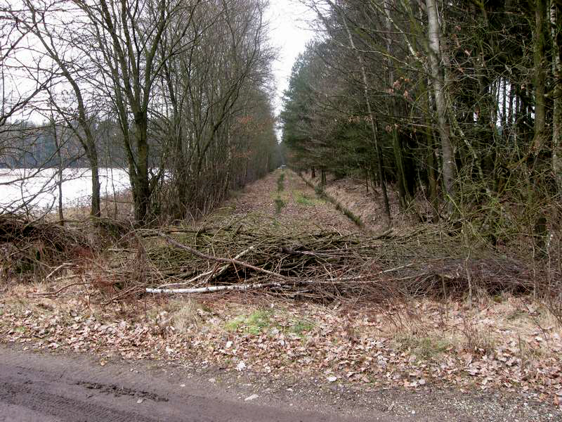 BlicknachNeuenkirchen